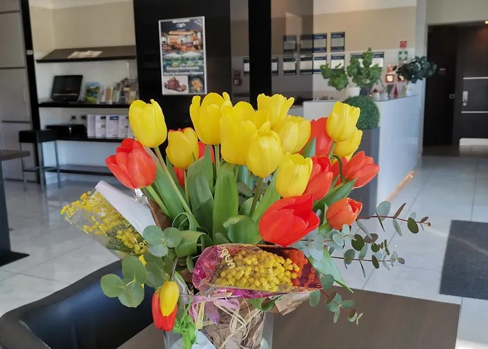 Western Modena Hotel 4*